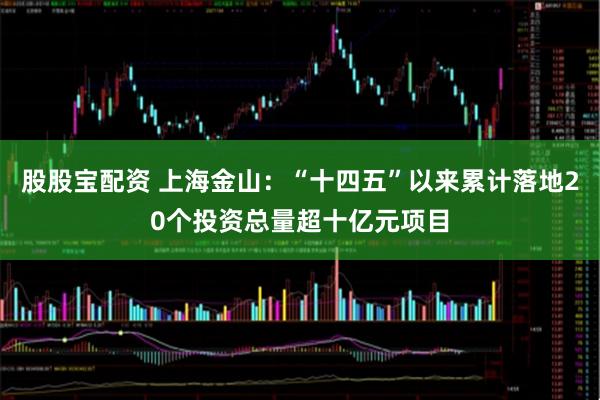 股股宝配资 上海金山：“十四五”以来累计落地20个投资总量超十亿元项目